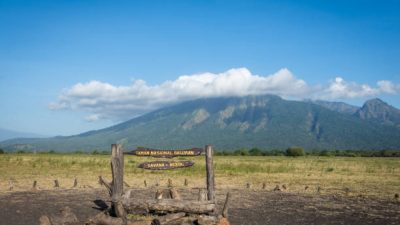 Keindahan Taman Nasional Baluran, “Africa van Java” di Ujung Timur Jawa