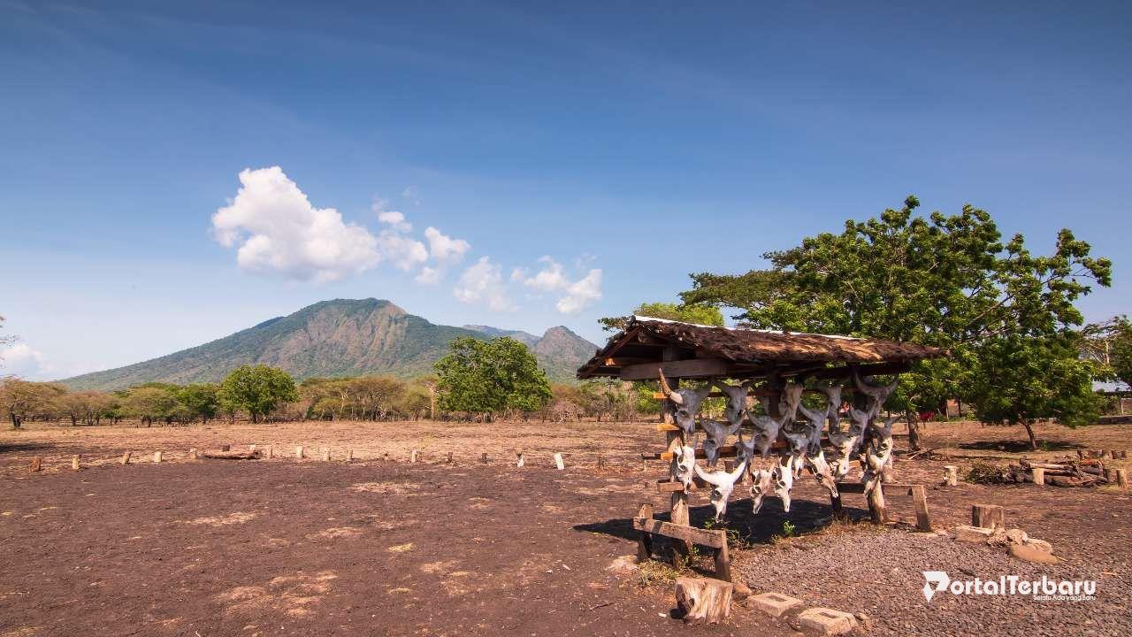 Taman Nasional Baluran