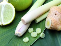 Benarkah Rebusan Jahe dan Sereh Peluntur Lemak?