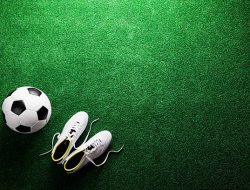 Cara Memilih Rumput Sintetis Berkualitas Untuk Lapangan Mini Soccer