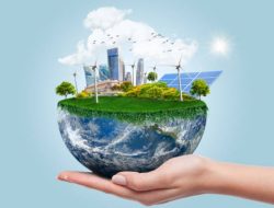 Tips Menjaga Kualitas Udara Bersih di Perkotaan yang Padat